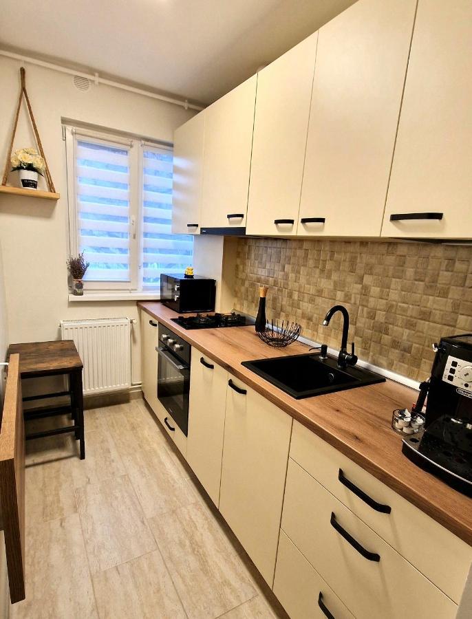 Apartamentul Gaviota Timişoara Exteriör bild